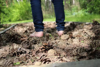 Activación: Práctica de Grounding.